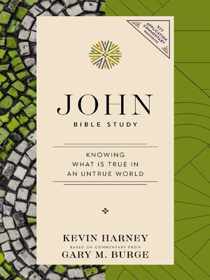 cover image of John Bible Study